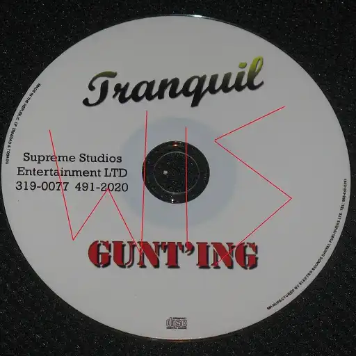 Tranquil - Gunt'ing (Single)