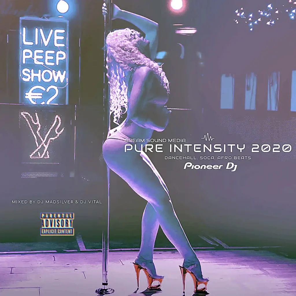 Silver Limited Edition n V II T A L - Pure Intensity (Mix 2020)